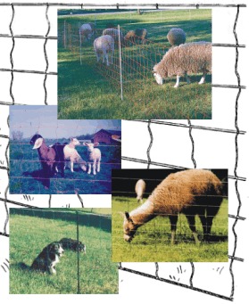 FENCING ON THE FARM - ELECTRIC NET FENCING