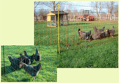 ELECTRIC FENCE, FENCING SUPPLIES, FARM FENCING, HORSE