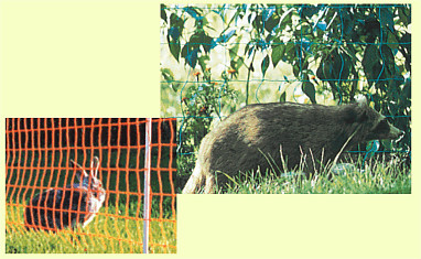 Fast Fence electric fence nets control dogs, cats, and many wildlife pests (rabbits & raccoons)