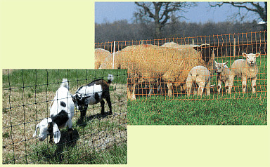 34" Fine Mesh green electric net fencing for sheep, lambs, small goats, gardens, and control of predators & wildlife (woodchucks, raccoons, skunks, etc.)